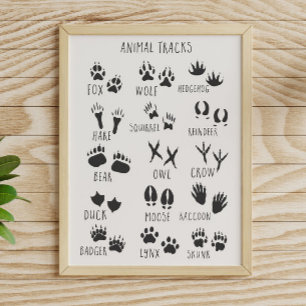 Animal Tracks Poster
