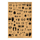Animal Tracks Poster