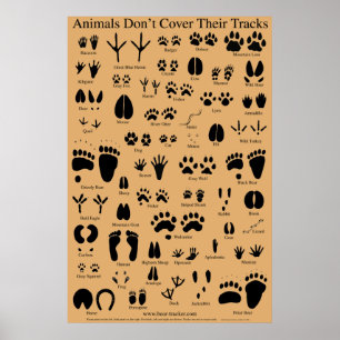 Animal Tracks Poster