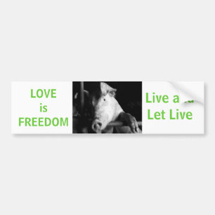 Animal Welfare Piggy Vegan Car Bumper Sticker