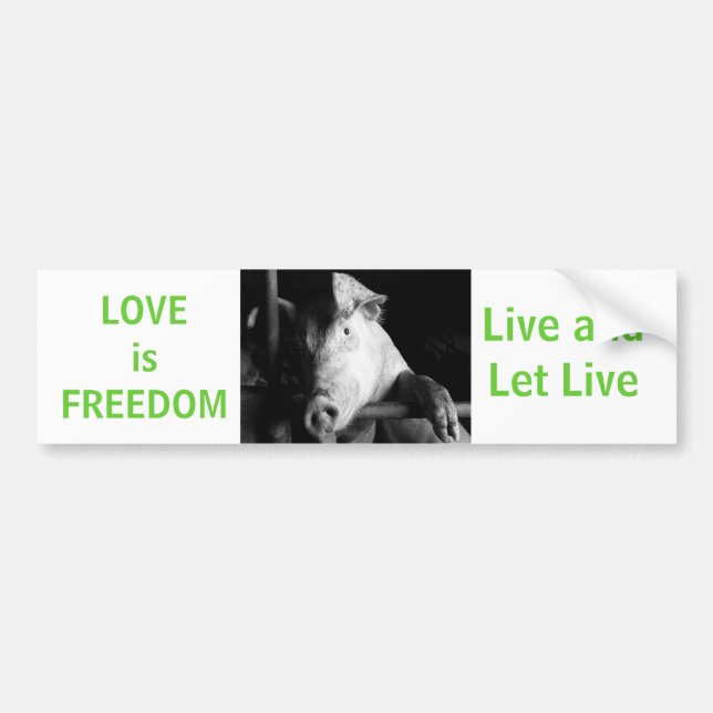 Animal Welfare Piggy Vegan Car Bumper Sticker (Front)
