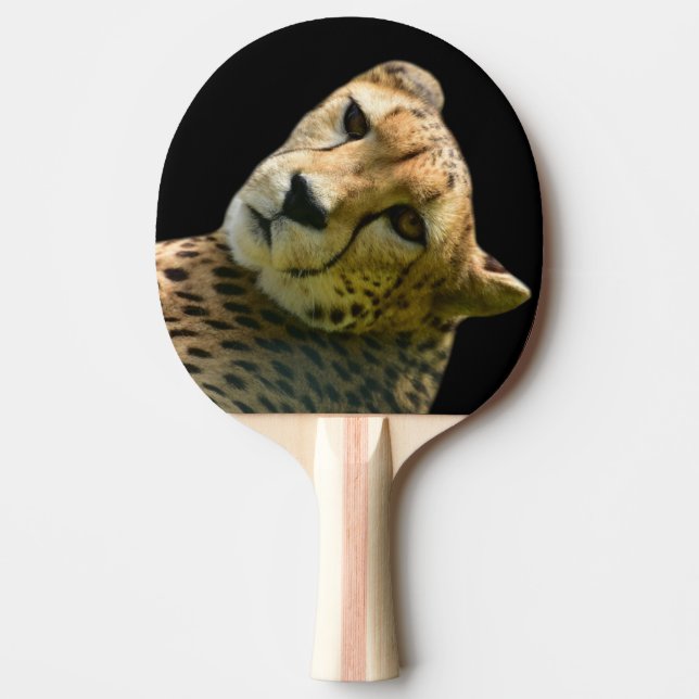 Animal wild cheetah jungle zoo photo ping pong paddle (Front)