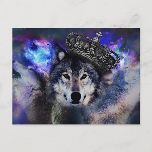 Animal wolf in crown postcard (Front)