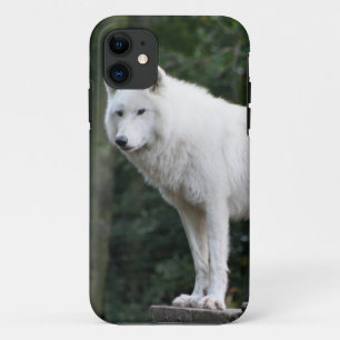 Animal Wolf Nature Peace Love Destiny iPhone 11 Case