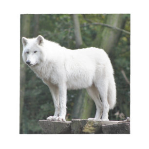 Animal Wolf Nature Peace Love Destiny Notepad