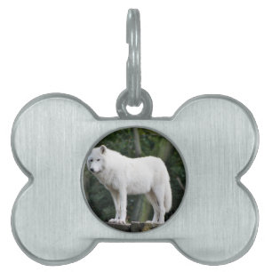 Animal Wolf Nature Peace Love Destiny Pet Name Tag