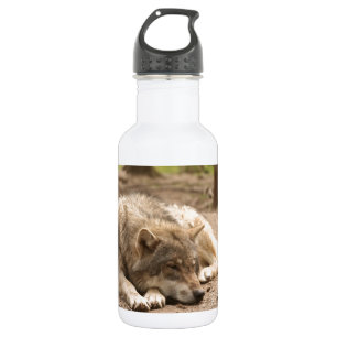 Animal Wolf Peace Love Wild Country Nature 532 Ml Water Bottle