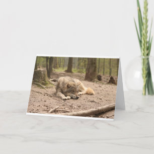 Animal Wolf Peace Love Wild Country Nature Card