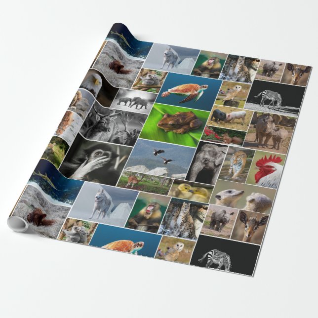 Animal Wrapping Paper (Unrolled)