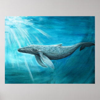 AnimalABC "Blue whale" Poster