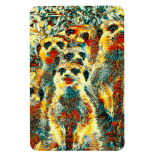AnimalArt_Meerkat_001 Magnet