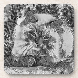 AnimalArtBW_Cat_07 Coaster