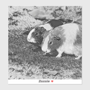 AnimalArtBW_GuineaPig_003