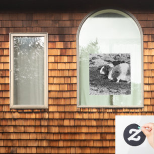 AnimalArtBW_GuineaPig_003