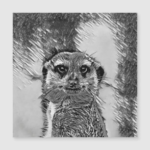 AnimalArtBW_Meerkat_002