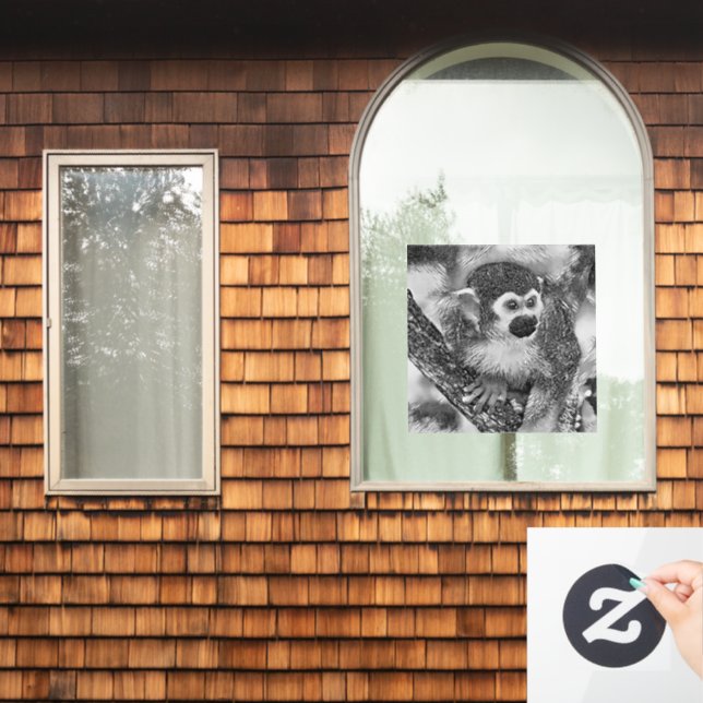 AnimalArtBW_Monkey_002 (Home Window)