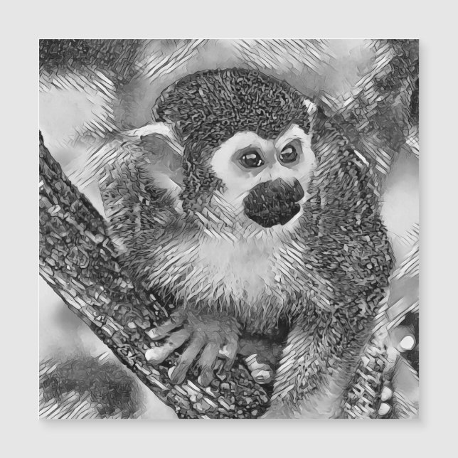 AnimalArtBW_Monkey_002 (Front)