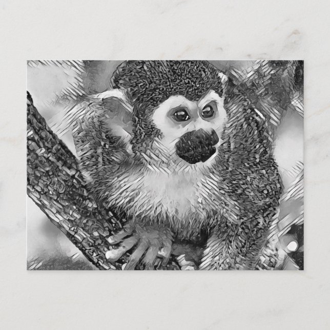 AnimalArtBW_Monkey_002 Postcard (Front)