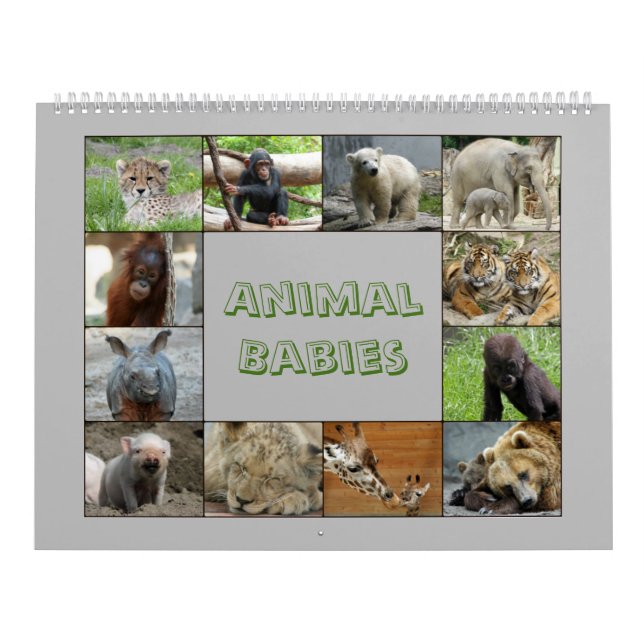 AnimalBabies 001 Calendar (Cover)