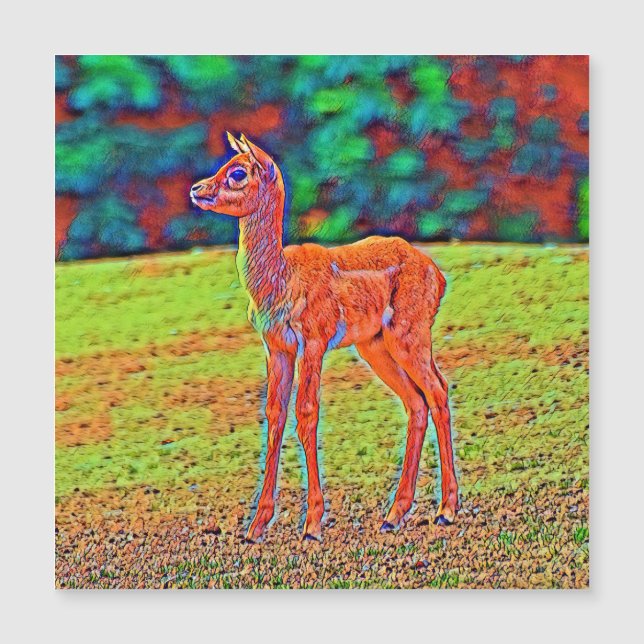 AnimalColor_Antilope_001 (Front)