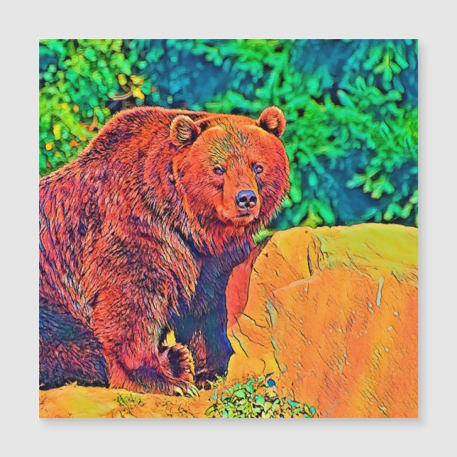 AnimalColor_Bear_001 (Front)