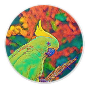 AnimalColor_Bird_003 Ceramic Knob