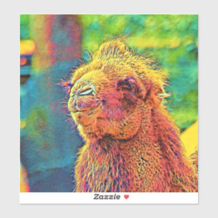 AnimalColor_Camel_07