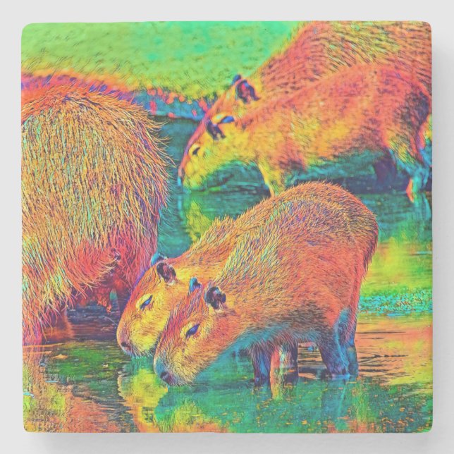 AnimalColor_Capybara_004 Stone Coaster (Front)