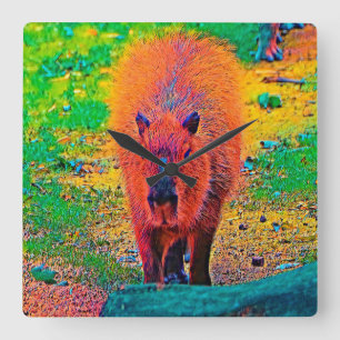 AnimalColor_Capybara_011 Square Wall Clock