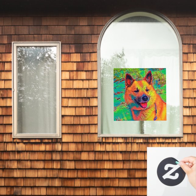 AnimalColor_Dog_014 (Home Window)