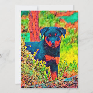 AnimalColor_Dog_031 Holiday Card