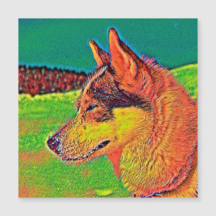 AnimalColor_Dog_039