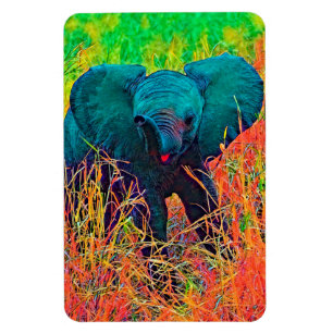 AnimalColor_Elephant_002 Magnet