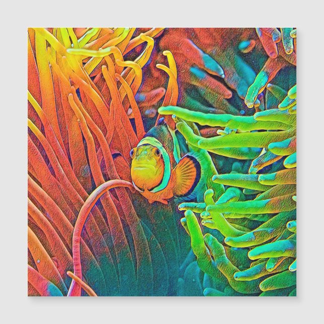 AnimalColor_Fish_001 (Front)