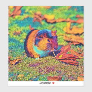 AnimalColor_Guineapig_001