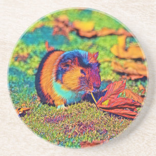 AnimalColor_Guineapig_001 Coaster