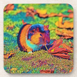 AnimalColor_Guineapig_001 Coaster