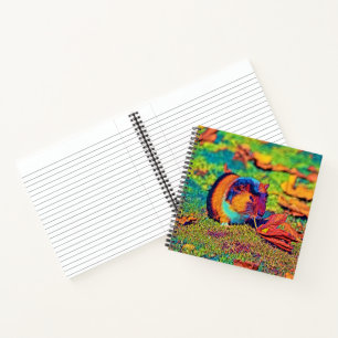 AnimalColor_Guineapig_001 Notebook