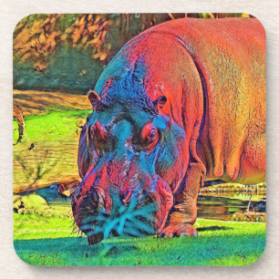 AnimalColor_Hippo_004 Coaster