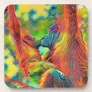 AnimalColor_OrangUtan_013 Coaster