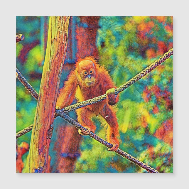 AnimalColor_OrangUtan_014 (Front)