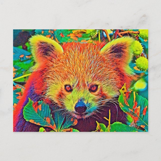 AnimalColor_RedPanda_001 Postcard (Front)