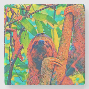 AnimalColor_Sloth_003 Stone Coaster