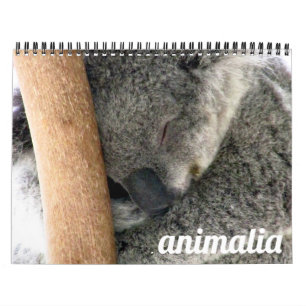animalia 2026 calendar