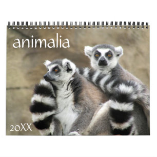 animalia 2027 calendar