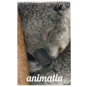 animalia calendar