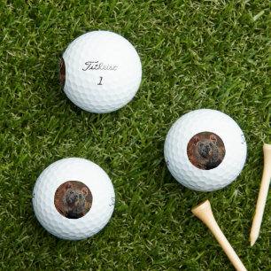AnimalMix_Bear_004 Golf Balls