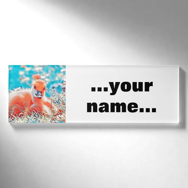 AnimalMix_Bird_019 Name Tag (Front)