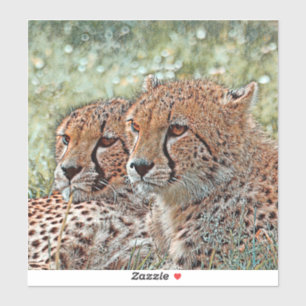 AnimalMix_Cheetah_031