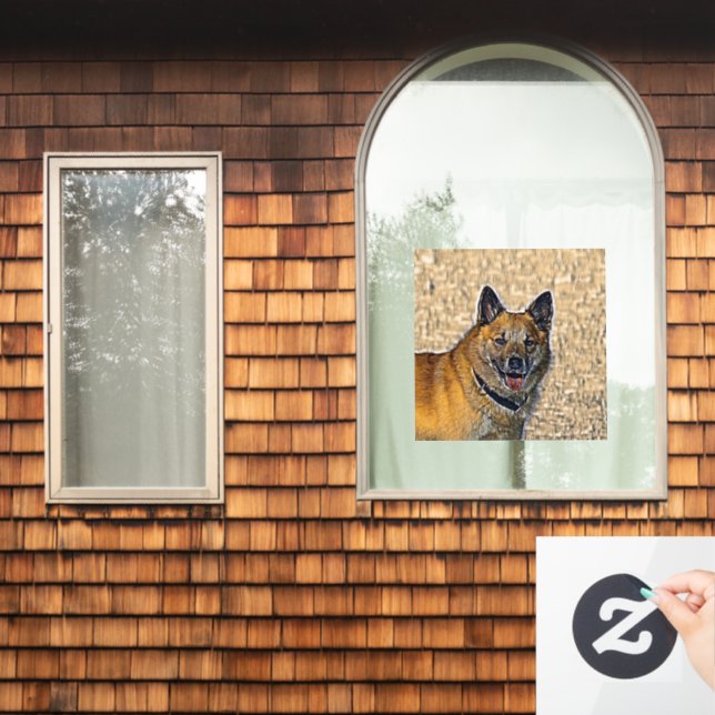 AnimalMix_Dog_004 (Home Window)